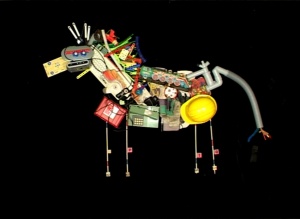 LE MONDE SAUVAGE D'HAWAÏ